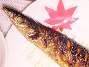焼き塩秋刀魚