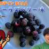 マイプロテイン BCAA ブルーラズベリー味のレビュー